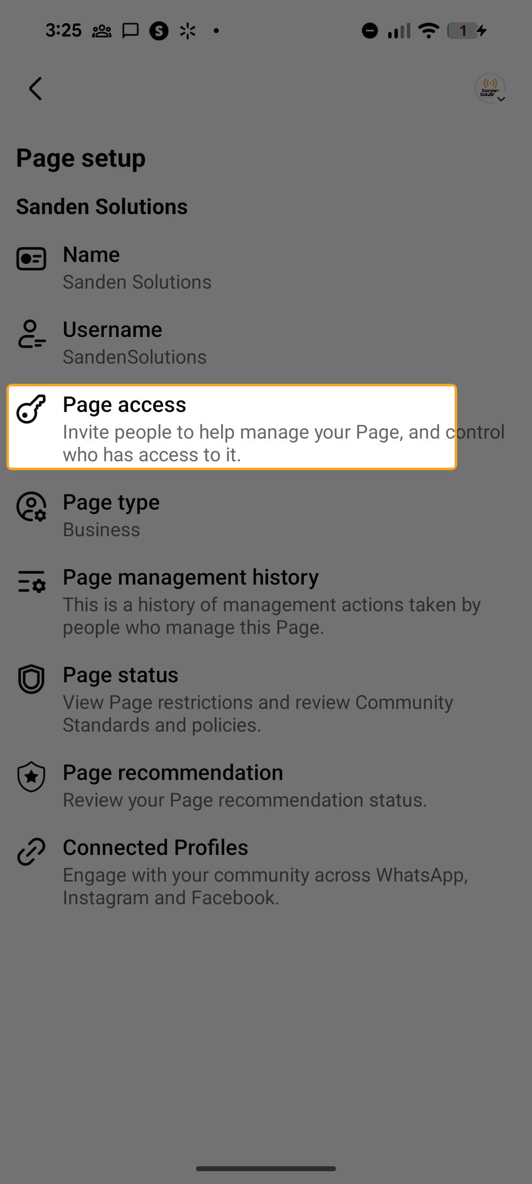 Page setup screen with Page access option highlighted